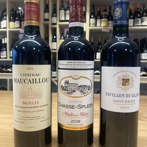 Moulis en medoc - Château Chasse Spleen - chasse-spleen