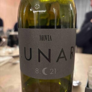 Movia Lunar - Avgvstvs Enrique Tomás - avgvstvs-enrique-tomas -2016