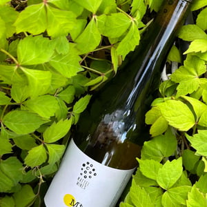 MT - Mattei Wines - matteo-e-matteo -2025