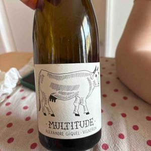Multitude - Huit-Launay - Alexandre Giquel -2023