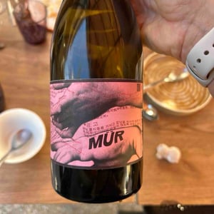 Mur - Ad Vinum - sebastien-chatillon