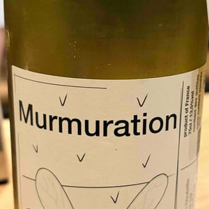 Murmuration - Les Hippogriffes - Laure et Pierre -2024