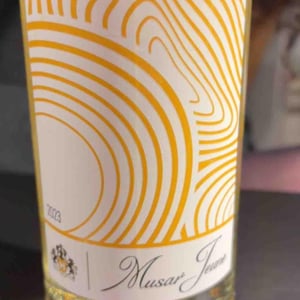 Musar Jeune Blanc - Musar - Ronald Hochar