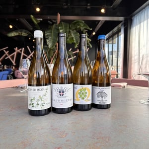 Muscadet - Domaine de Bellevue - jerome-bretaudeau