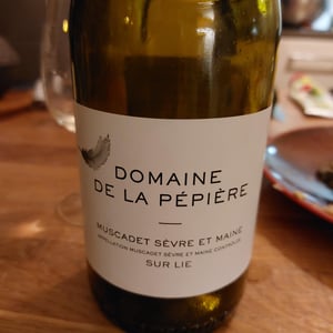 Muscadet Sèvre et Maine sur Lie - Domaine de la Pépière - marc-ollivier-remi-branger-gwenaelle-croix