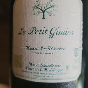 Muscat Sec D' octobre - Le Petit Domaine de Gimios - Anne-Marie Lavaysse -2021