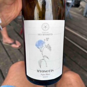 Myosotis - Domaine des Myosotis - Justine Rivet et Romain Bourreau 