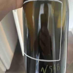 N.548 - Versante - luca-baroni-marika-giusti -2020