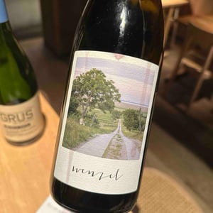 N°9 Pinot Noir - Weinbau Michael Wenzel - michael-wenzel -2024