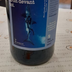 Nage Droit Devant - Les Ussels - alexandre-amelie-guilin-desanges