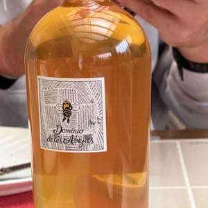 Naranja - Dominio De Las Abejas - mauricio-ruiz-cantu-ricardo-michel