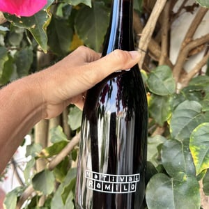 Nativas - Ramilo Wines - nuno-and-pedro-ramilo