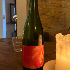 Nébuleuse Gamay X Julien Altaber - Sextant - Vin des Potes - Basile Passe
