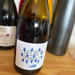 Negret Pounjut - Domaine Plaisance - Penavayre - louis-marc-et-thibaut-penavayre