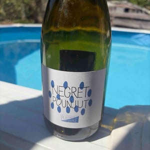 Negret Pounjut - Domaine Plaisance - Penavayre - louis-marc-et-thibaut-penavayre
