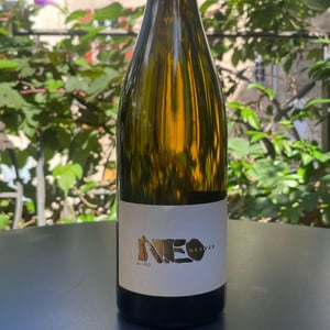 Neo Nervis - La Nouvelle Don(n)e - Wilfried Valat 