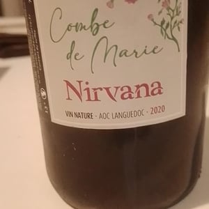 Nirvana - Négondos - carole-desrochers-mario-plante -2020