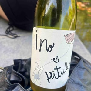 No Es Pituko - Viña Echeverría - Quasar Wines - roberto-viviana-paulina-diego-echeverria