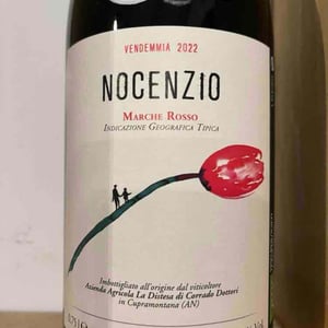 Nocenzio - La Distesa - Corrado Dottori 