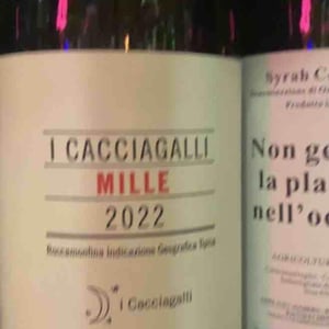 Non gettare plastica nell’oceano - Caravanserraglio - caravanserraglio -2017