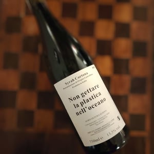 Non gettare plastica nell’oceano - Caravanserraglio - caravanserraglio -2017