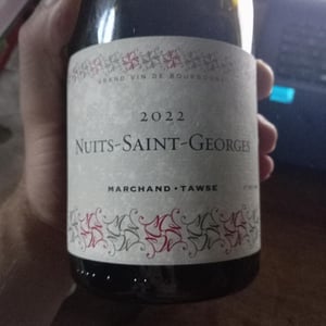Nuits Saint Georges - Marchand tawse - pascal-marchand -2022