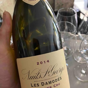 Nuits-Saint-Georges "Les Damodes" - Domaine de la Vougeraie - sylvie-poillot -2014