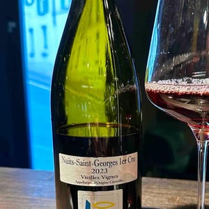 Nuits-Saint-Goerges 1er cru "Vieilles vignes" - Domaine Prieuré Roch - Henry-Frédéric Roch & Yannick Champ -2019