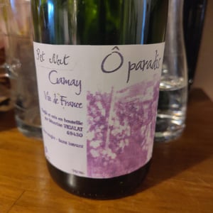 o paradis - Séverine Vidalat - severine-vidalat -2025