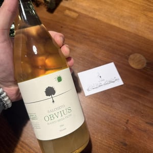 Obvius Blanco - Salcheto - Michele Manelli -2021
