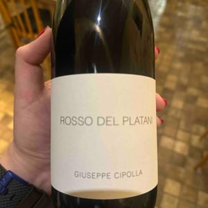 Occhio Di Sale - Azienda Agricola Giuseppe Cipolla - Giuseppe Cipolla -2022