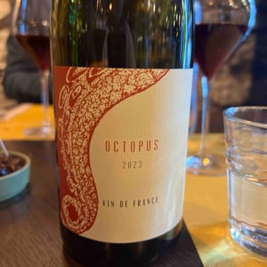 Octopus Rouge - L'Austral - pauline-mourrain-laurent-troubat