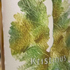 Oliver BIO - Kristinus - Florian Zaruba 