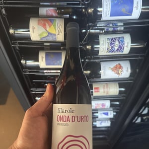 Onda d'urto - Filarole - Barbara Pulliero & Paolo Rusconi -2022