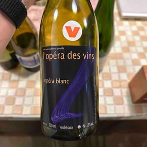 Opéra Blanc - Les Vignes de l'Angevin - jean-pierre-robinot -2021