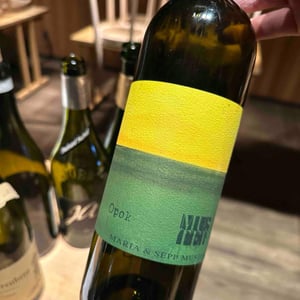 Opok - Weingut Muster - Maria & Sepp Muster