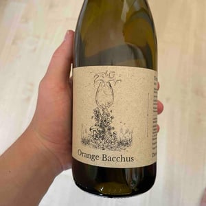 Orange Bacchus - David Amling - david-amling -2023