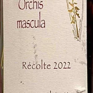 Orchis Mascula - Domaine Henri Naudin-Ferrand - Claire Naudin 