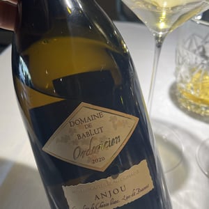 Ordovicien - Domaine de Bablut - Christophe & Antoine Daviau 