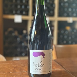 Orion - Le Petit Domaine d'Echiat - Serge Gayet -2024