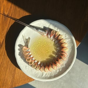 Orphie De Méditerranée, Tomate, Pêche Blanche, Verveine - Aronde - 1373865