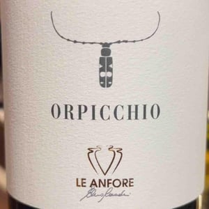 Orpicchio - Elena Casadei - Elena Casadei -2024