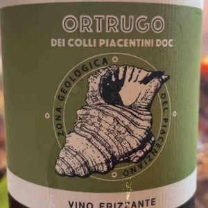 Ortrugo - Azienda Vitivinicola Saccomani - Saccomani Giuseppe, Luca e Claudia 