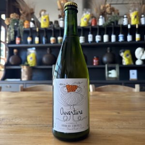 Ouverture - Aligoté Pet Nat - Domaine Arnaud Chapuis - Arnaud Chapuis 