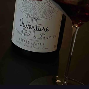 Ouverture - Pinot Noir - Domaine Arnaud Chapuis - Arnaud Chapuis