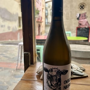 Ovella Negra - Mas Candí - Ramón Jané, Mercé Cuscó, Toni Carbó, Ramón Galimany 