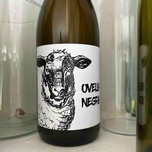Ovella Negra - Ramon Jané Viticultor - ramon-jane