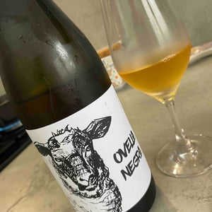 Ramon Jané Viticultor - Ramón Jané - Ovella Negra