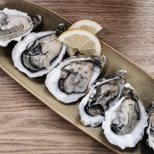 Oysters - CALCÁREO - 1367499