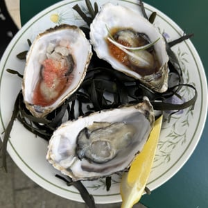 Oysters By Sarocha - RUBY - 1374991